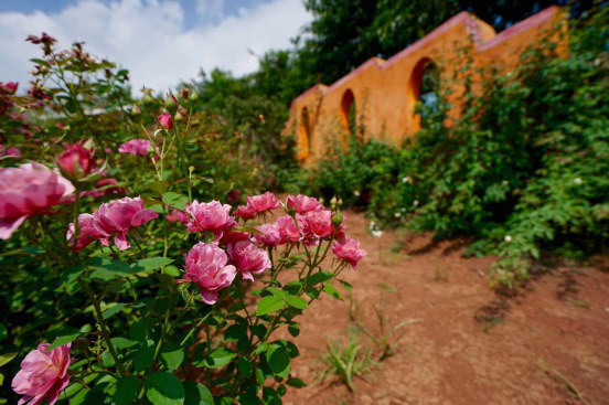 1471486595584006.png 4.png