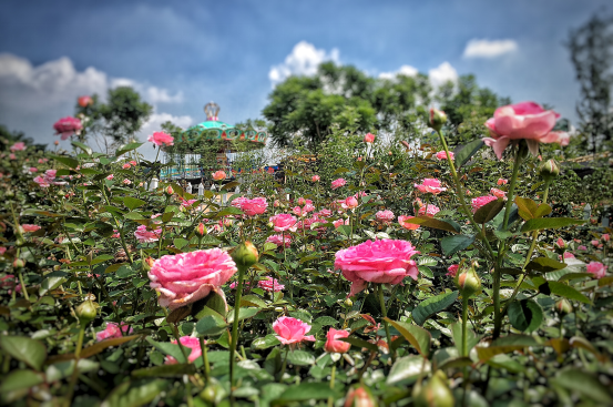 1471486649105723.png 5.png