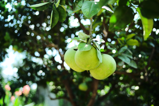 1471486941110984.png 10.png