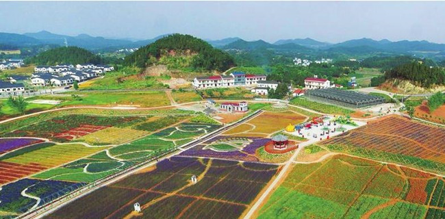 1473043671447964.jpg 图片1.jpg