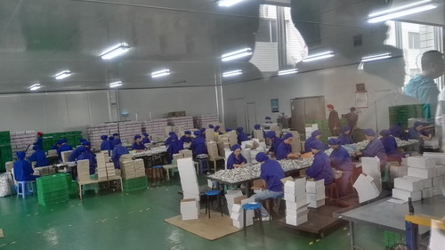 1475029455368294.jpg 1.jpg