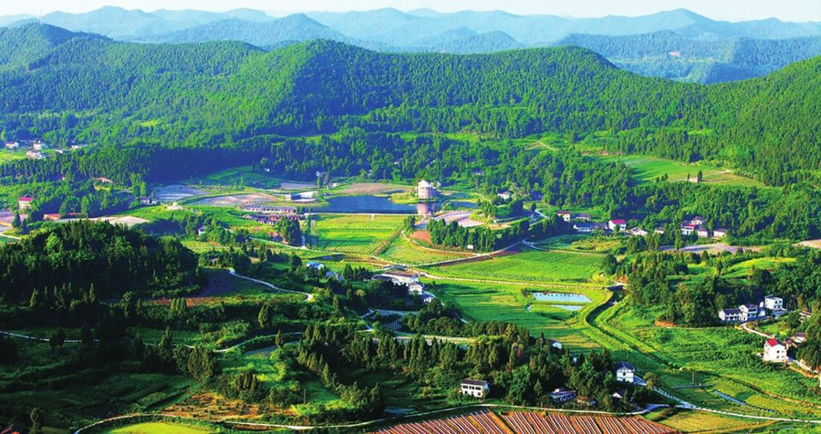 1492757409702468.jpg 乡村旅游.jpg