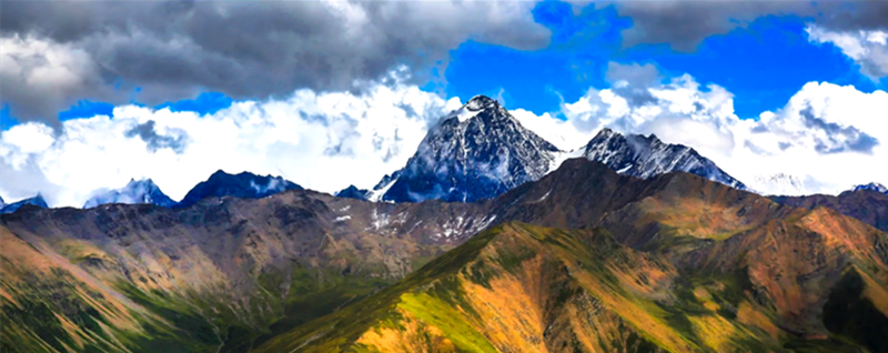 1493199127730226.png 1.png