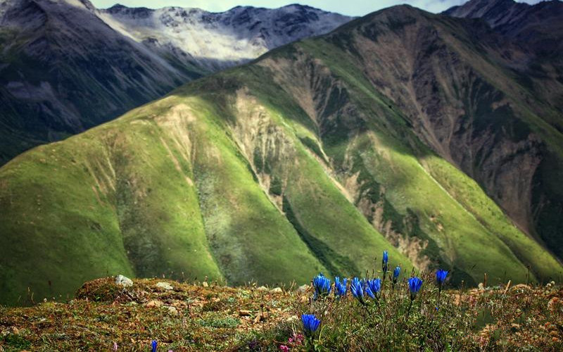 1493199173421171.jpg 2.jpg