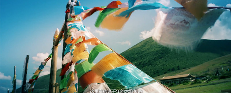 1493199200868600.png 3.png