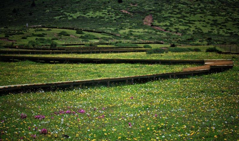 1493199988249839.jpg 10栈道.jpg