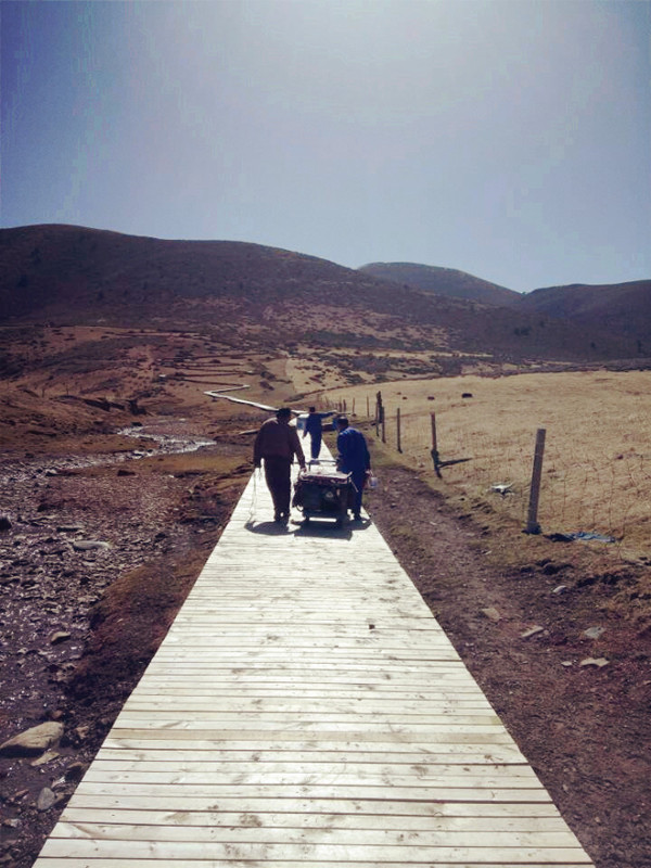 1493200050614655.jpg 1493200050614655.jpg