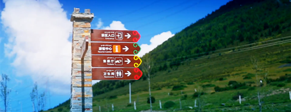 1493200420314262.png 9.png