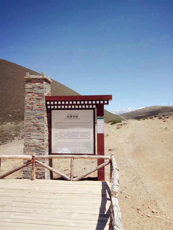 1493200432461304.jpg 9 (4).jpg