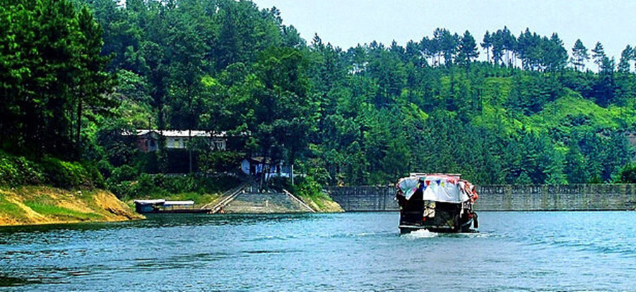 1498533850615366.jpg 10.jpg