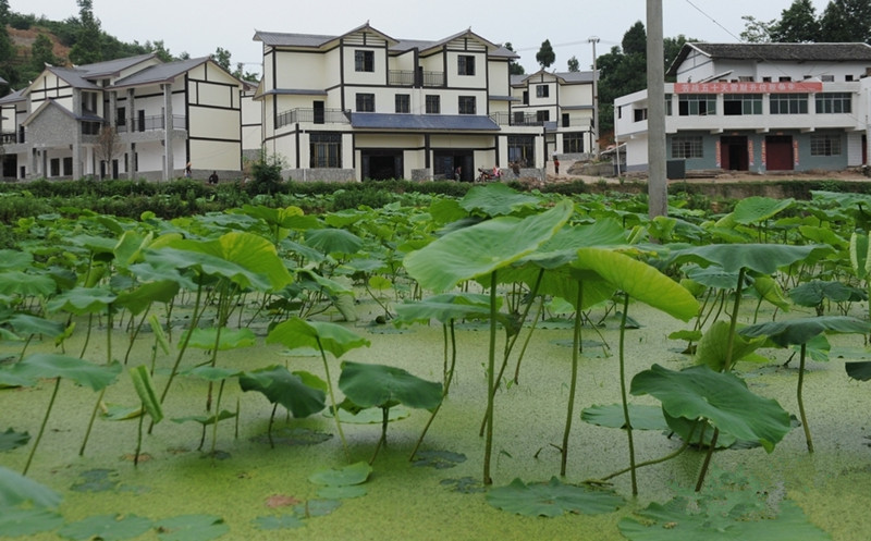 1499674605321062.jpg 2.jpg