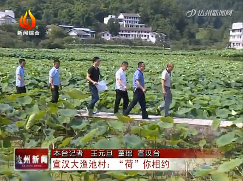 1499674670355818.jpg 4.jpg