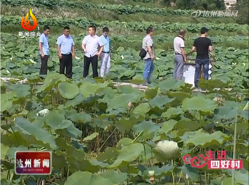 1499674682549662.jpg 5.jpg