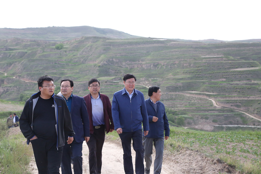 1500529407954716.jpg 1.jpg