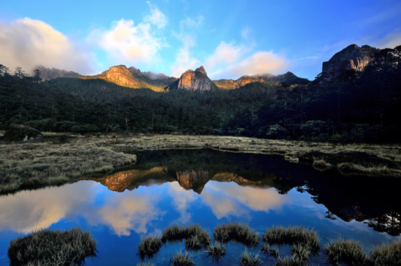 1505184644728798.jpg 1.jpg