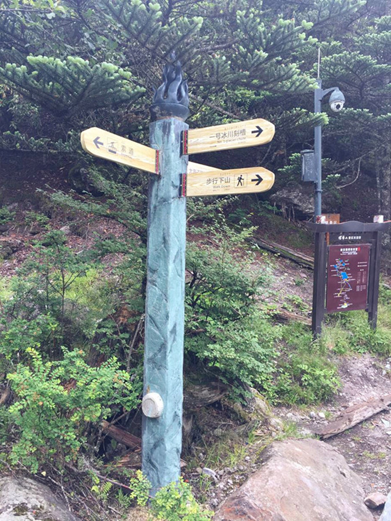 1505184858574325.jpg 5.jpg