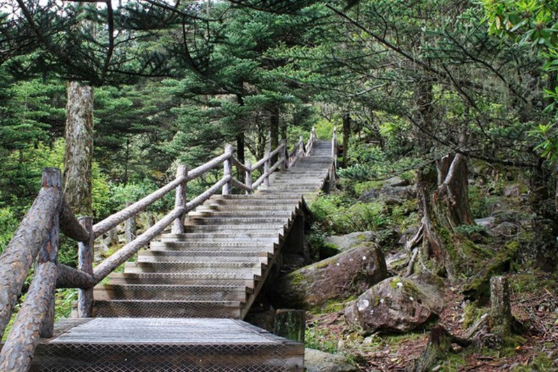 1505185008360011.jpg 9.jpg