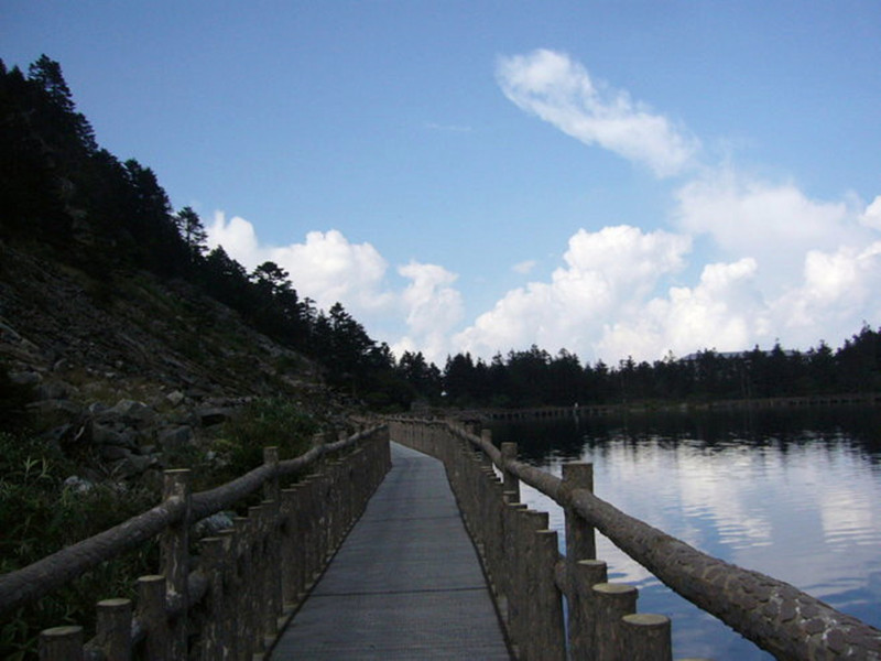 1505185019211310.jpg 10.jpg