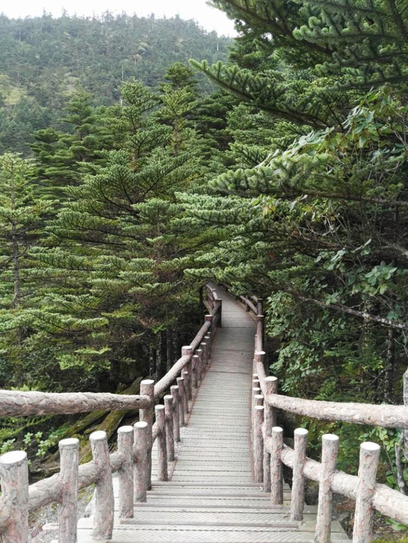 1505185031558314.jpg 11.jpg