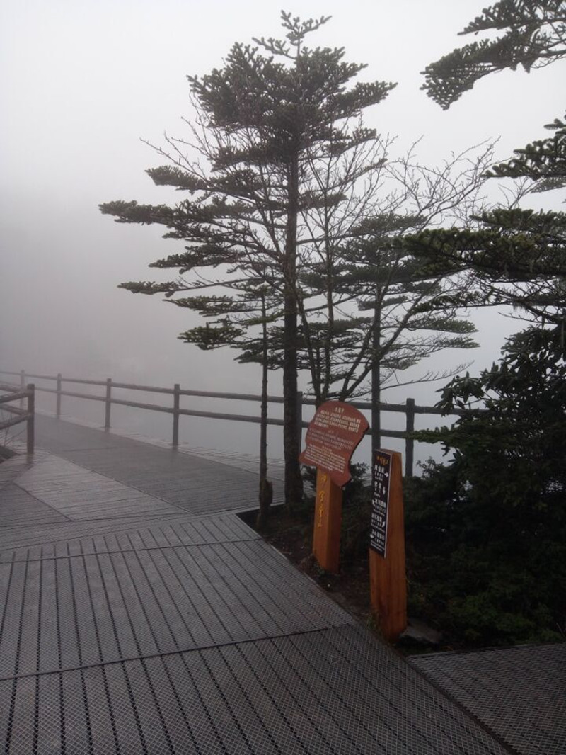 1505185051909863.jpg 13.jpg