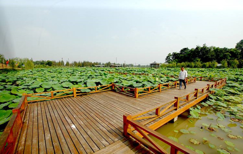 1505195229318365.jpg 7.jpg