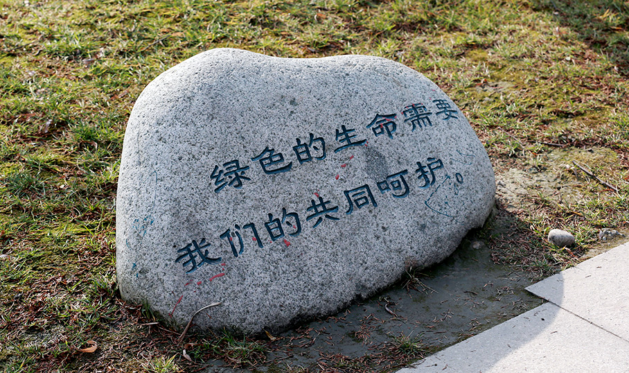 1508986575734859.jpg 1482303904841950.jpg