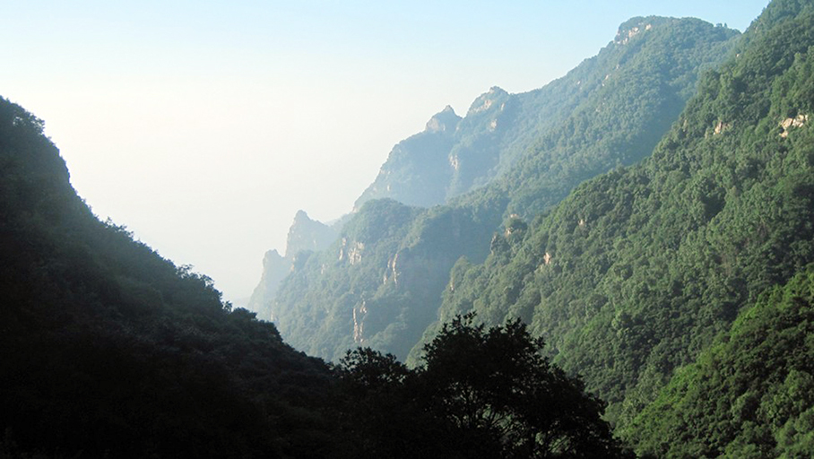 1508989963772587.jpg 1472460444240934.jpg