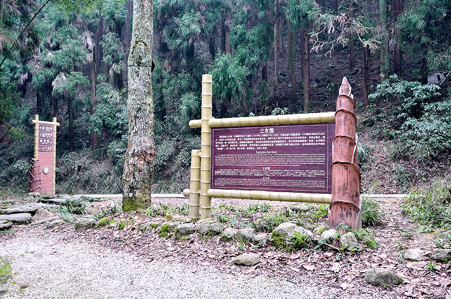 1508990007666453.jpg 1472112729124853.jpg