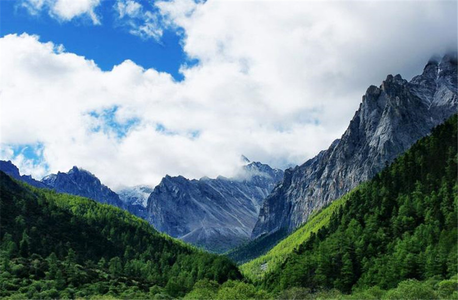 1527790833336508.jpg timg (1).jpg