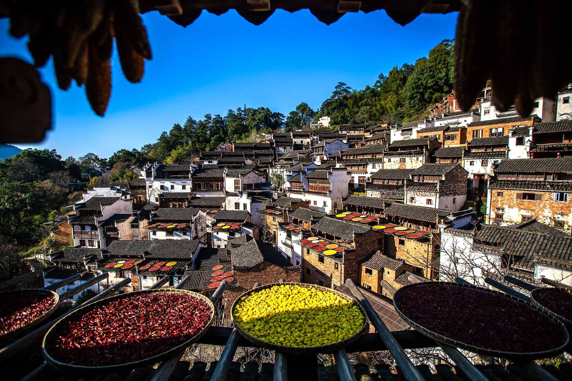 1543816961130171.jpg 图片1.jpg