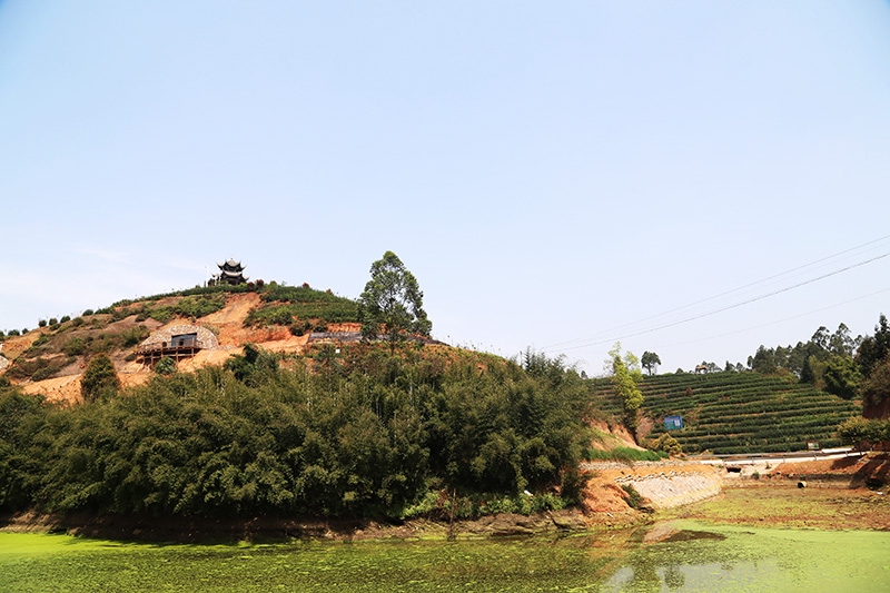 1560936732109287.jpg 宜宾茶文化三.jpg