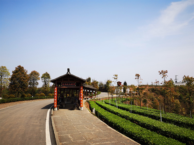 1560936928549817.jpg 景观亭.jpg