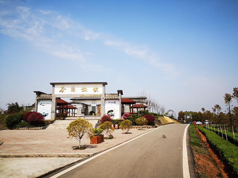 1560936970628565.jpg 茶文化景观六.jpg