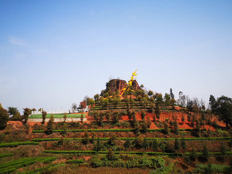 1560937029960254.jpg 茶文化景观七.jpg