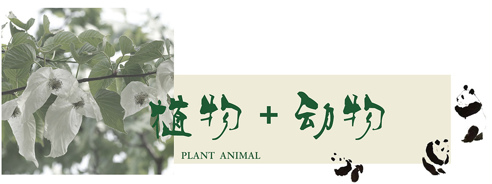 1560998665788084.jpg 唐家河动物.jpg