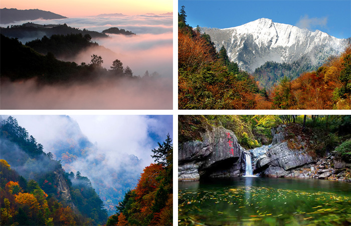 1560998682125687.jpg 唐家河摄影.jpg