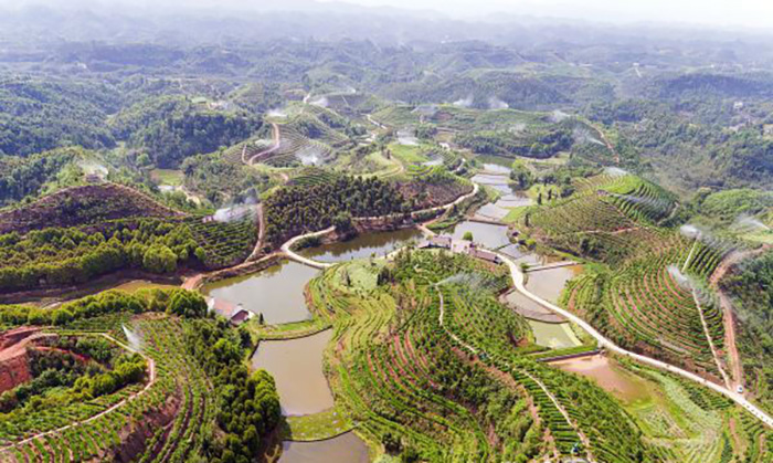 1560999091136707.jpg 4.jpg