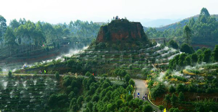 1560999106743158.jpg 5.jpg