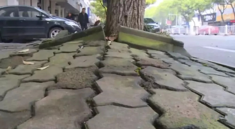 1561373294742427.jpg 户外家具一.jpg