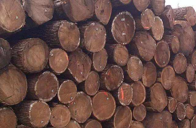 1561976531627317.jpg 户外家具二.jpg