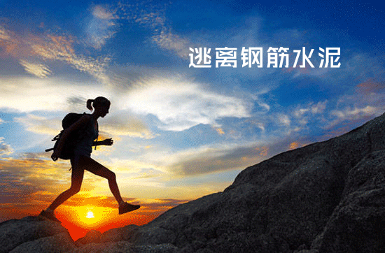 说走就走的旅行.gif 说走就走的旅行.gif