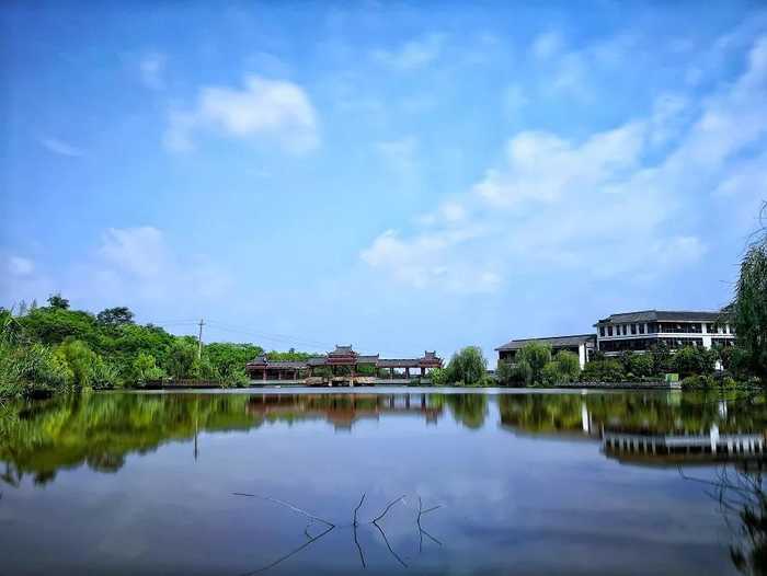 张坝桂圆555_pro_pro.jpg